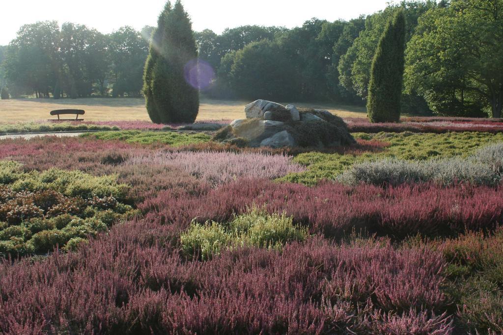 Ferienwohnung Lueneburger Heide Schneverdingen Eksteriør bilde